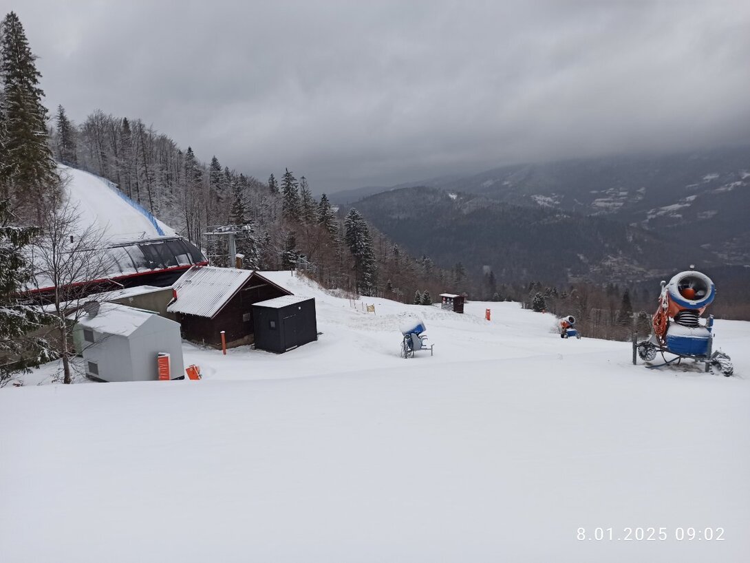 IMG_20250108_090213.jpg