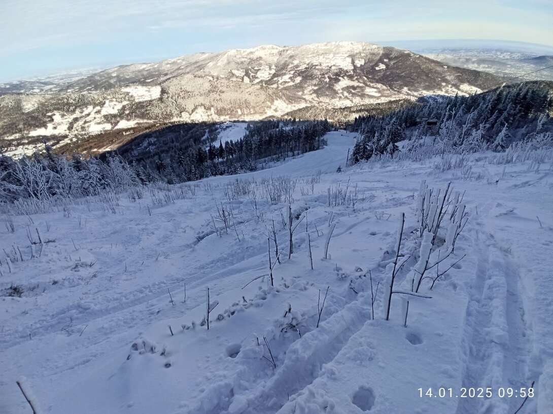 IMG_20250114_095839.jpg