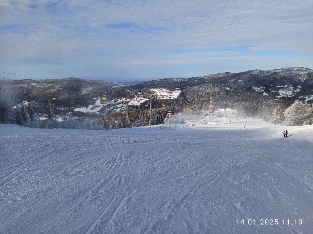 IMG_20250114_111058.jpg