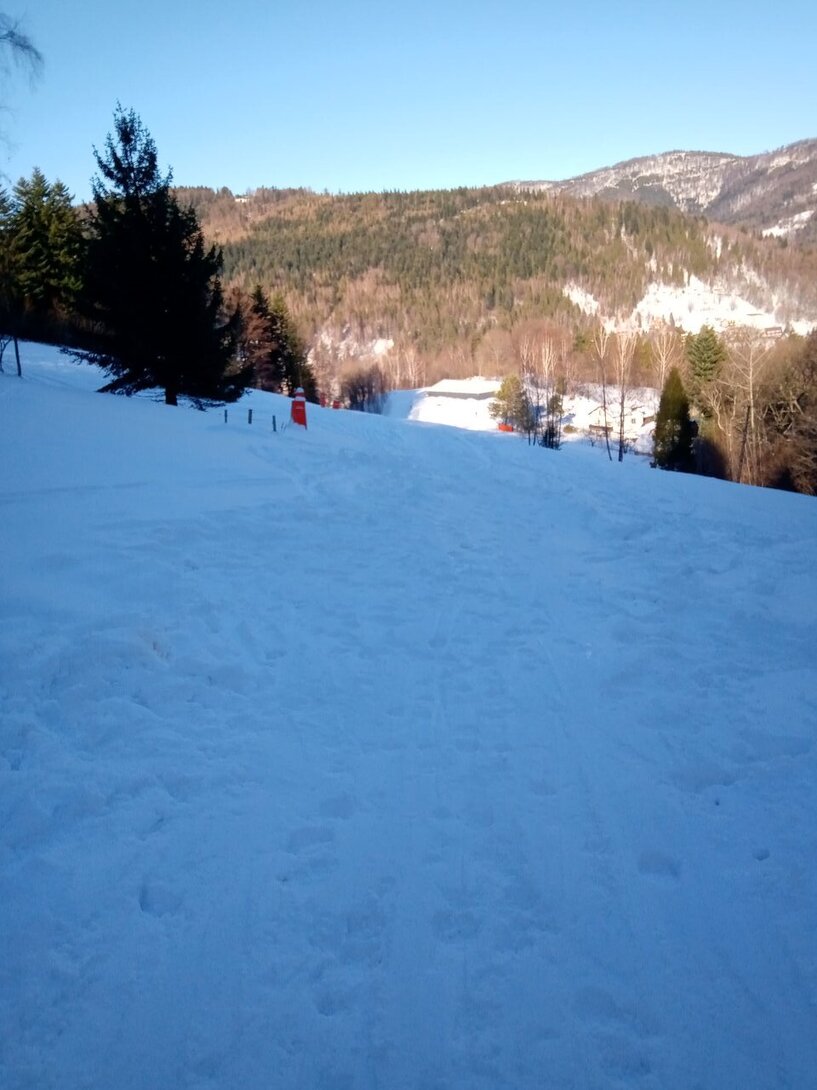 IMG_20250120_101449.jpg