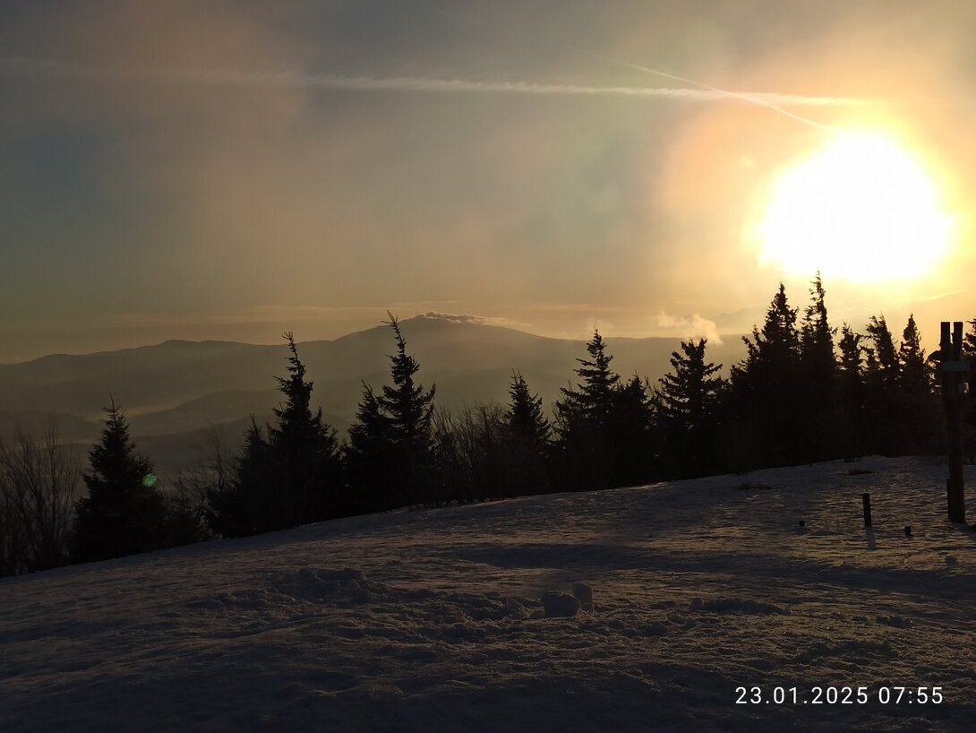 IMG_20250123_075547.jpg