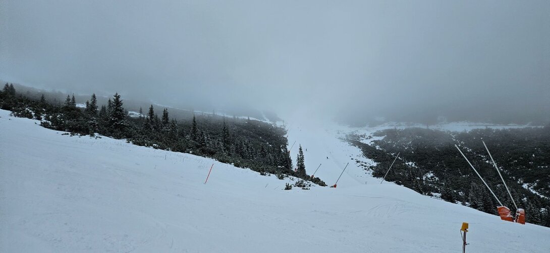 20250213_094438.jpg