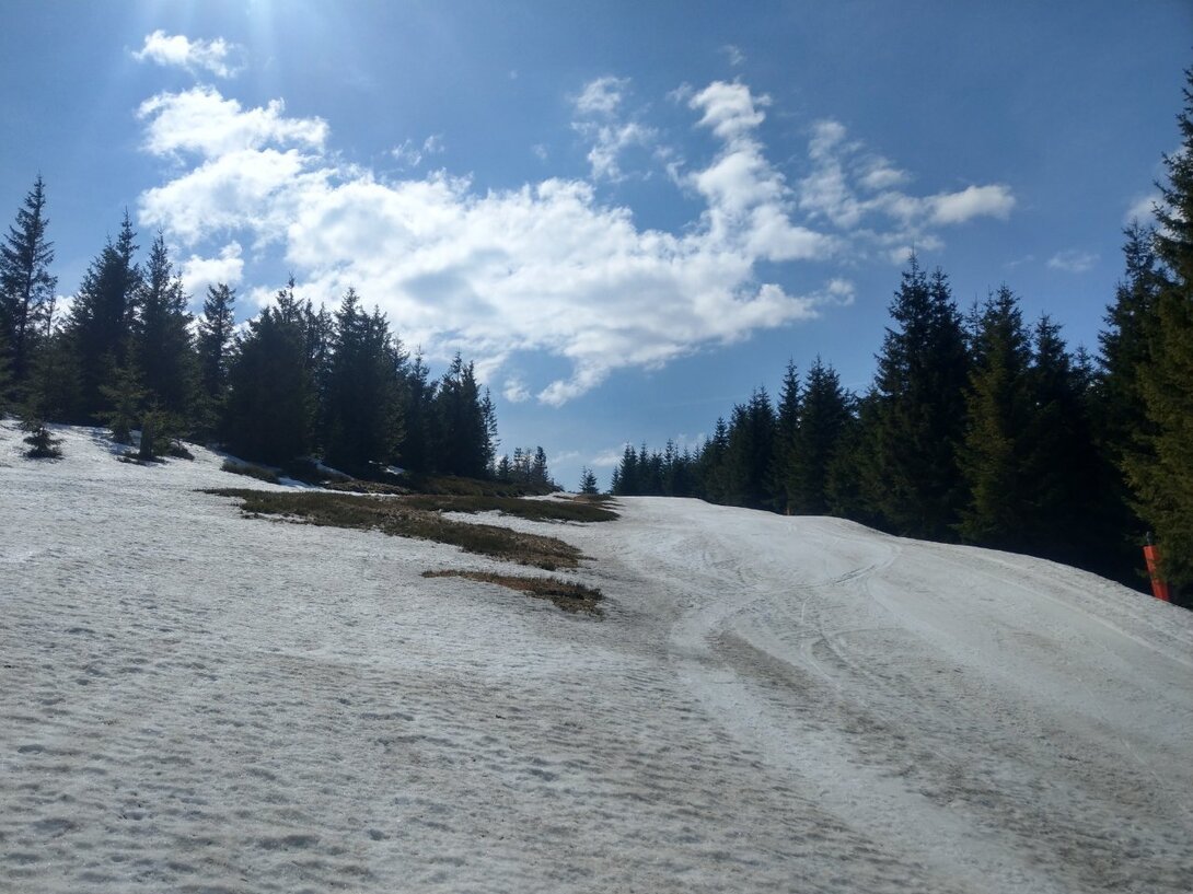 IMAG0412.jpg