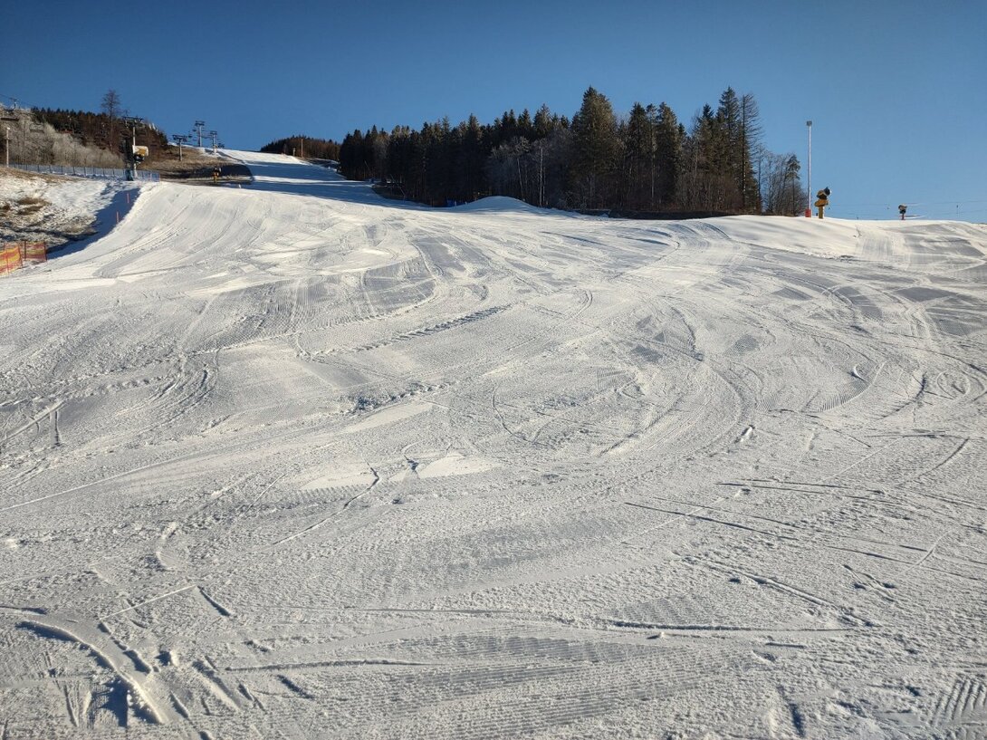 IMG_20250204_092606410_HDR.jpg
