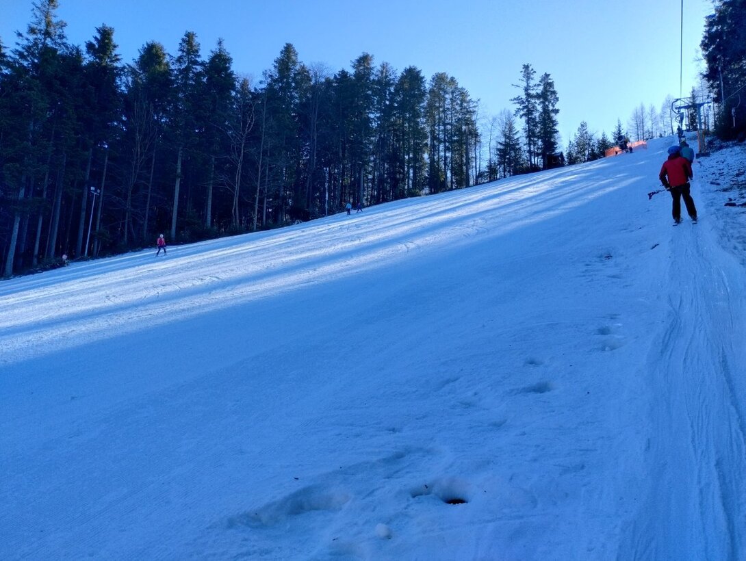 IMG_20250209_114433581_HDR.thumb.jpg.9c1dbaca6ac48607120154145c3bbedc.jpg