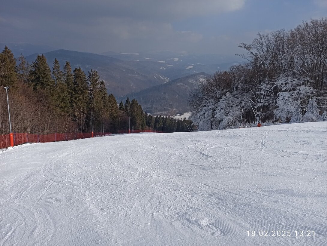 IMG_20250218_132124.jpg