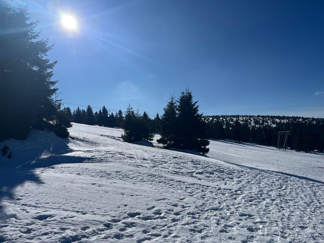 IMG_6794.jpeg