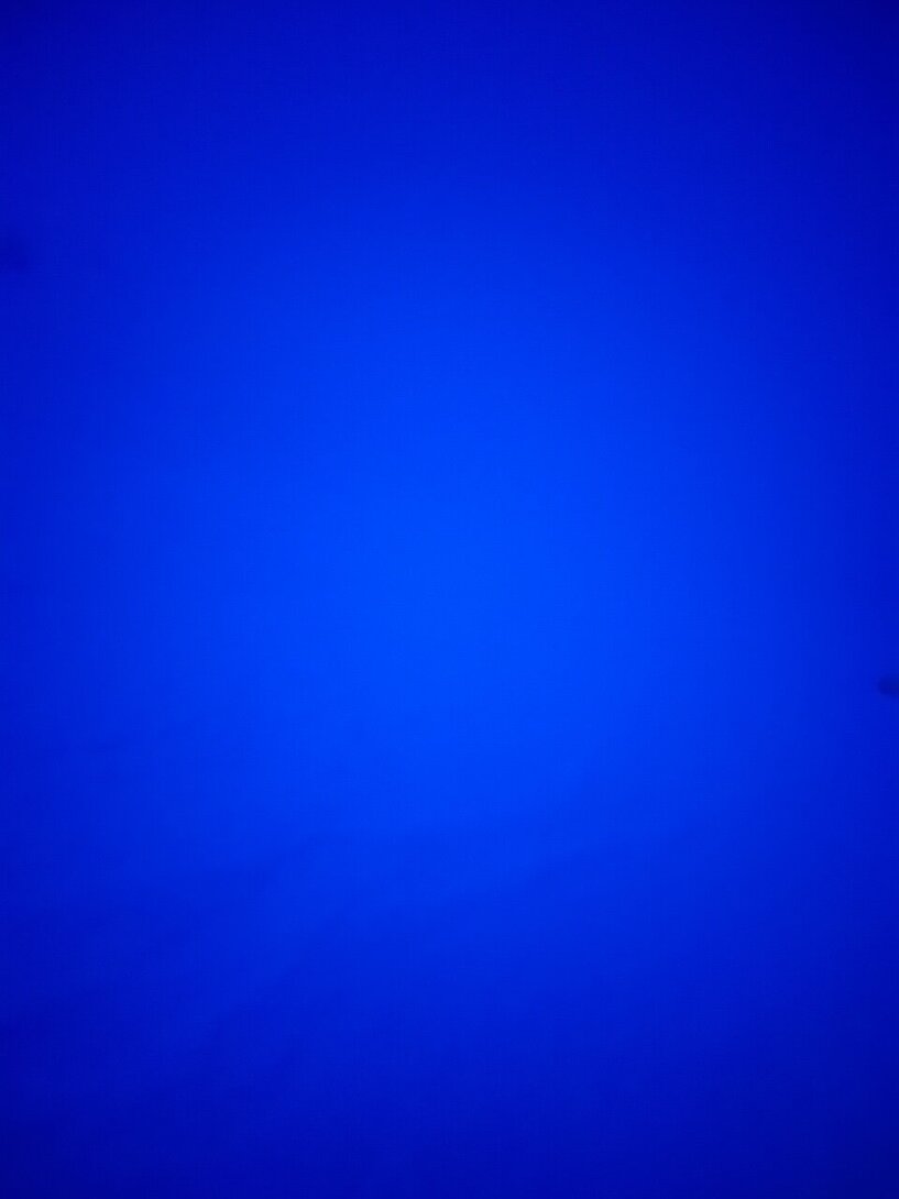 IMG_7055.jpeg