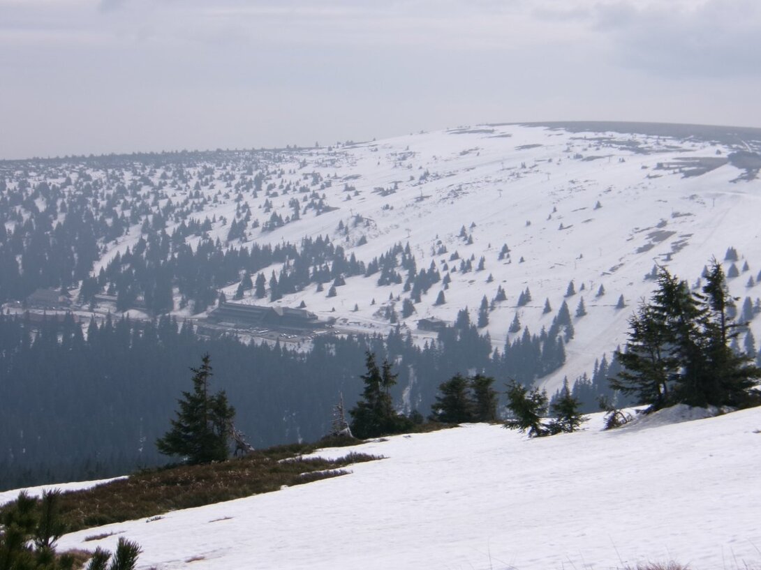 100_0116.JPG