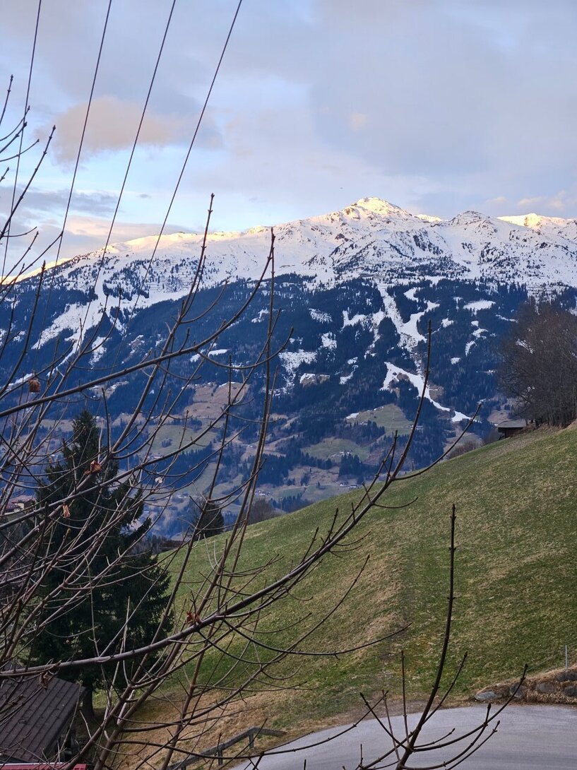 20250312_064651.jpg