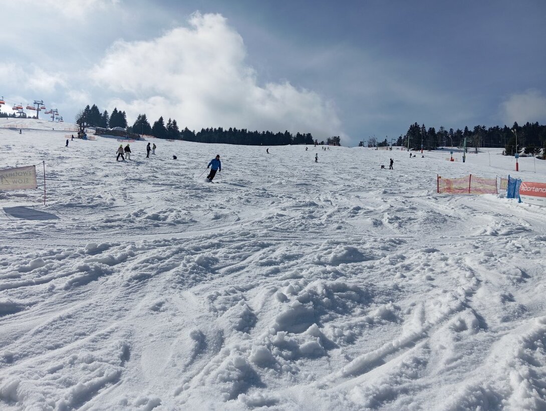 IMG_20250303_121847.jpg