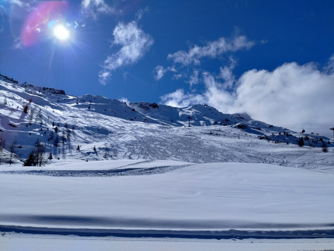 IMG_20250314_141230289_HDR.thumb.jpg.ea14cfce2282233a977b484790be6b71.jpg