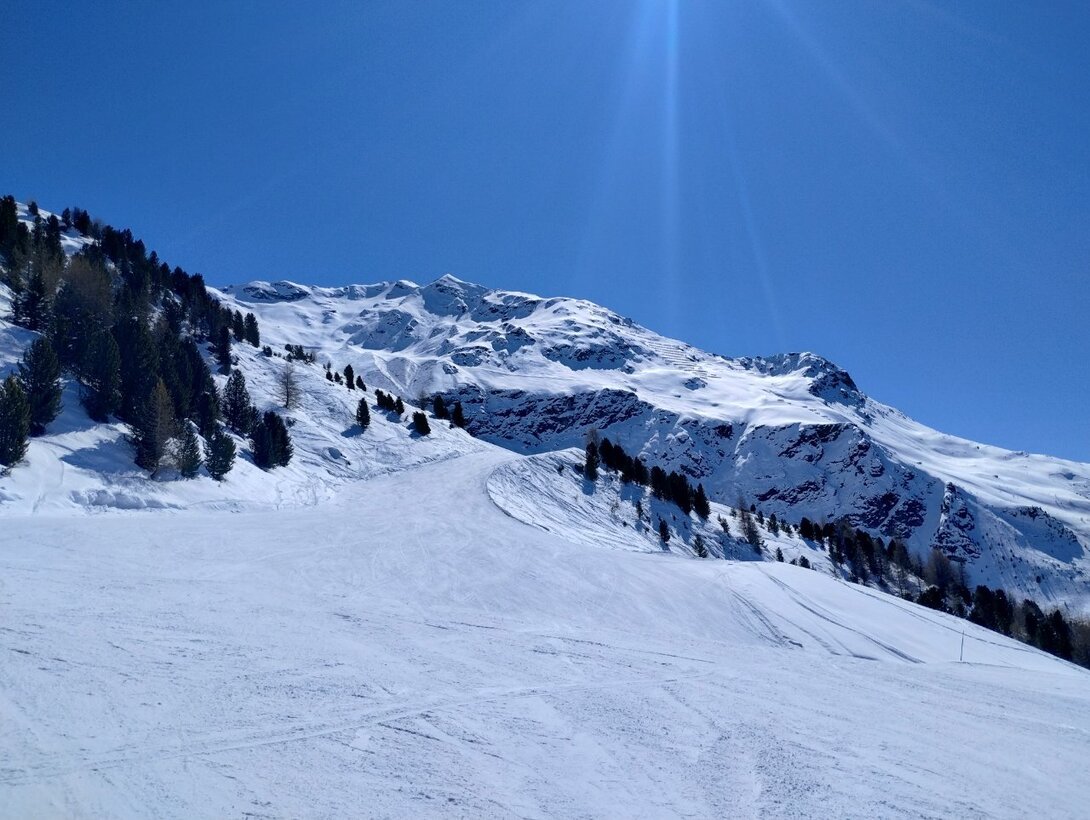 IMG_20250320_125004419_HDR.thumb.jpg.481aef0708e403c1e4409f8175f601f7.jpg