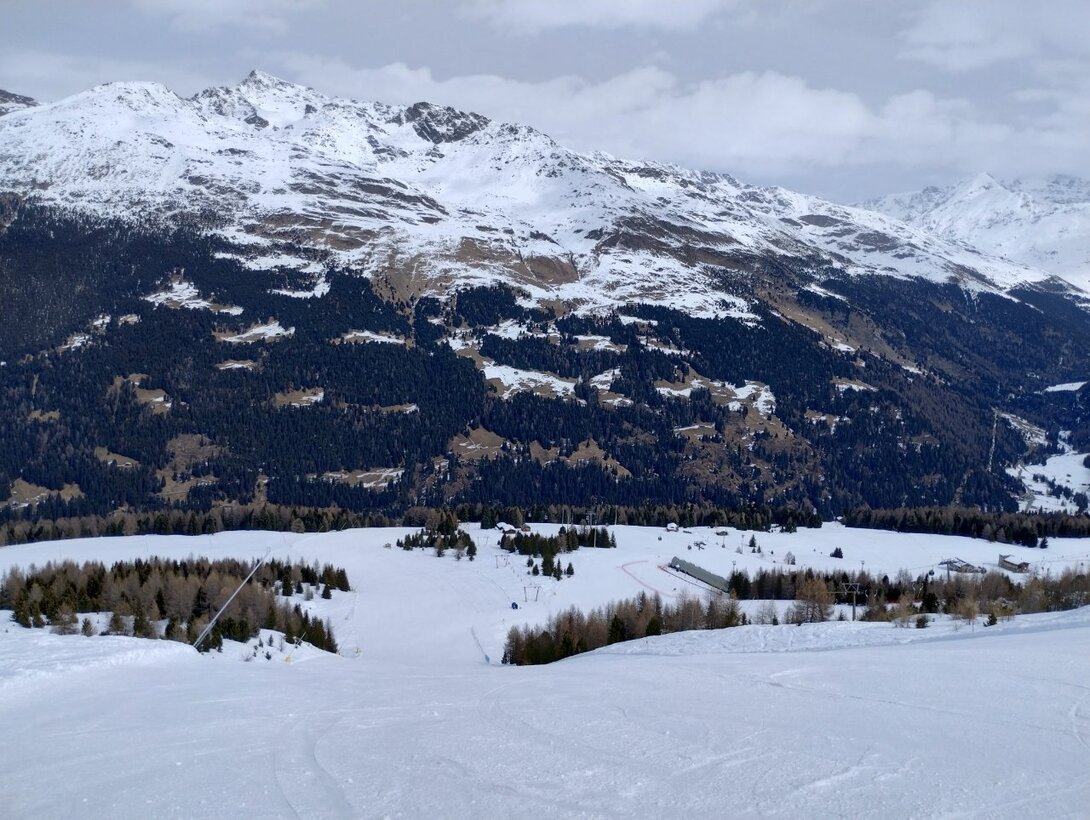 IMG_20250321_115942974_HDR.thumb.jpg.55eef5a8432582ecbf895ea9ae07a2e8.jpg
