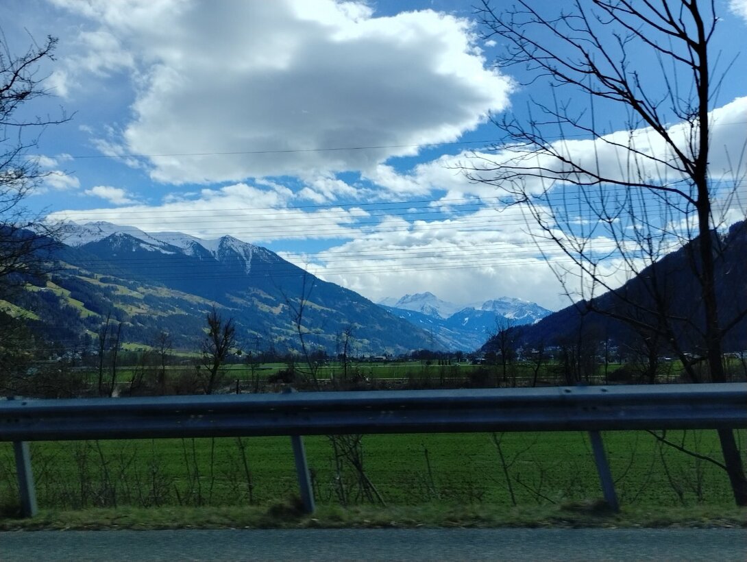 IMG_20250323_125636525_HDR.thumb.jpg.1c9f4143522ef0a4120b149f3e454bb0.jpg