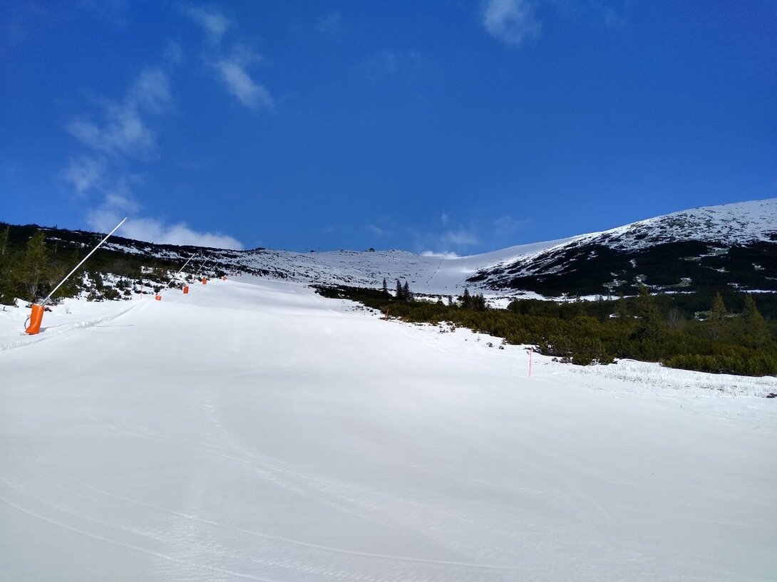 IMG_20250325_085522023_HDR.jpg