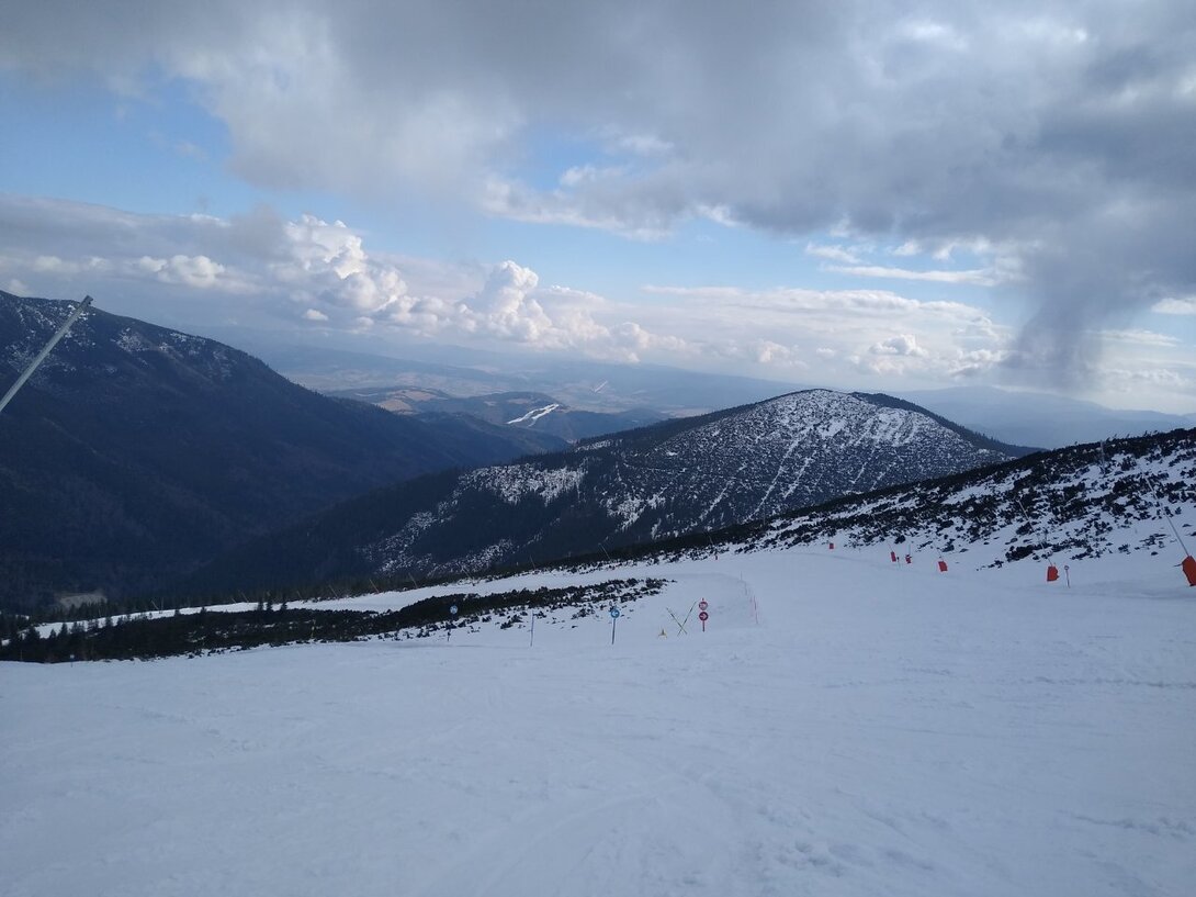 IMG_20250325_144939667.jpg