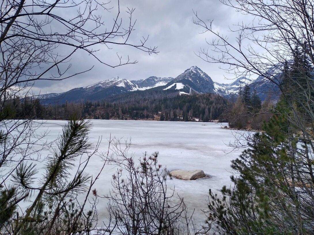 IMG_20250326_131938970_HDR.jpg