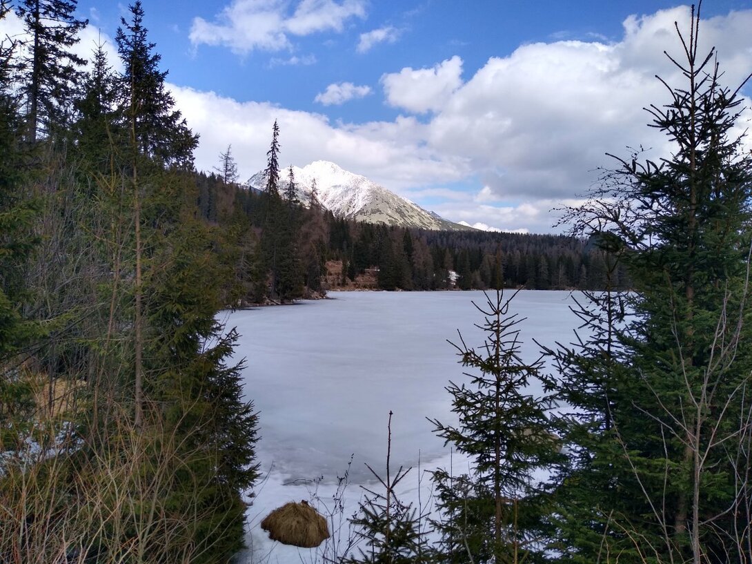 IMG_20250326_135844895_HDR.jpg