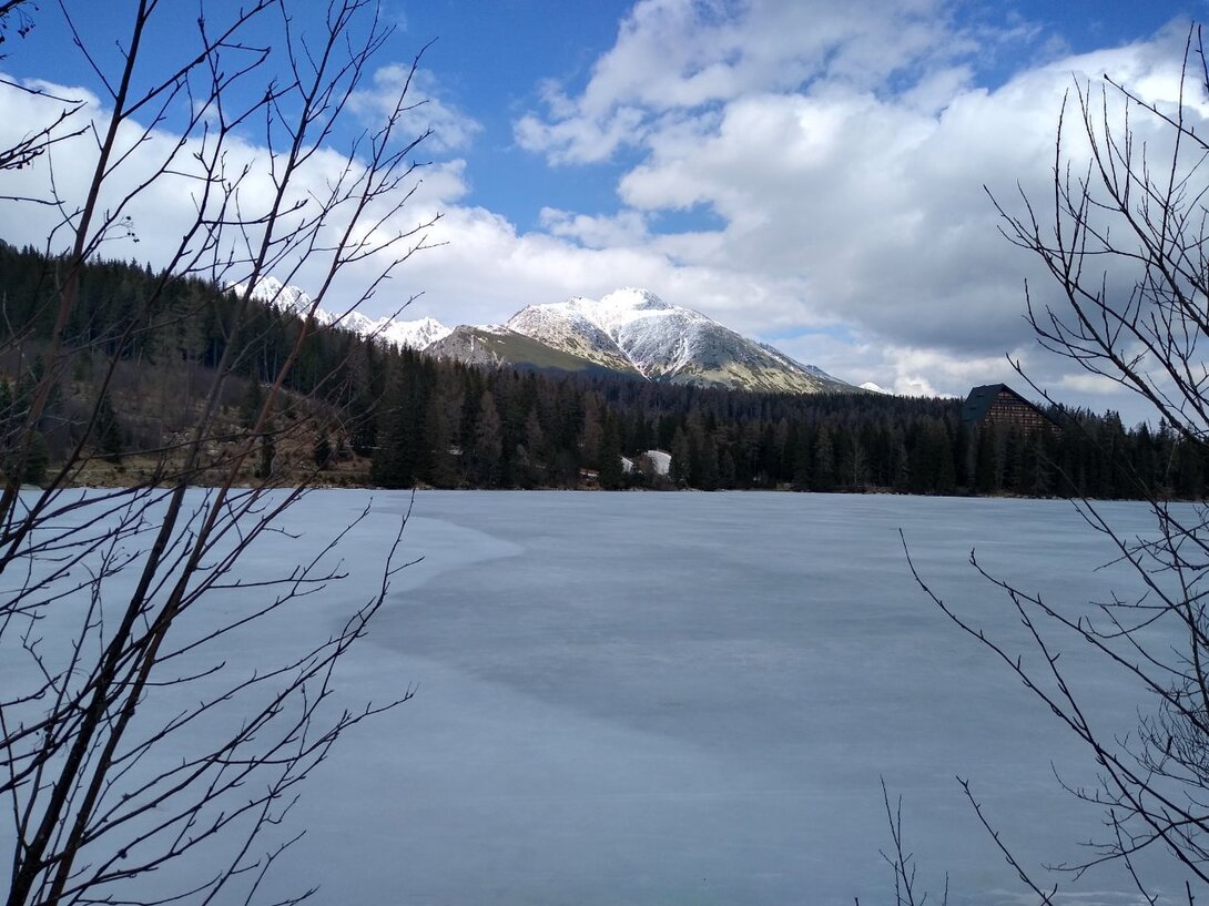 IMG_20250326_140124459_HDR.jpg