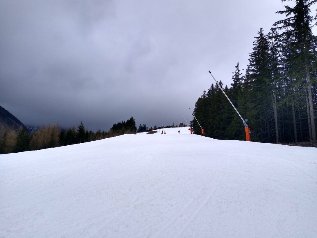 IMG_20250329_090912967_HDR.jpg