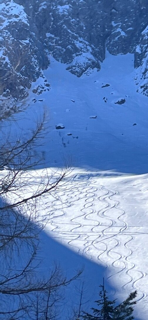 IMG_4796.thumb.jpeg.30a168d513ecae8c9381a24ff09c7eaa.jpeg