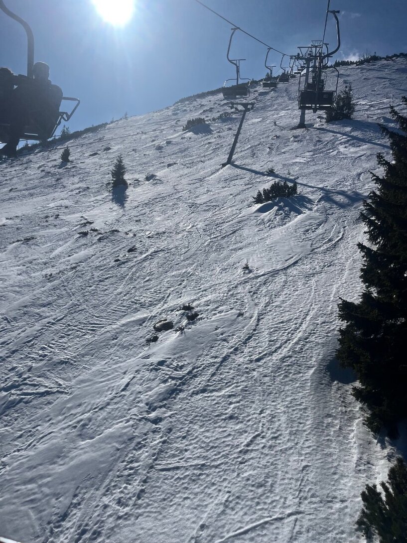 IMG_6658.jpeg