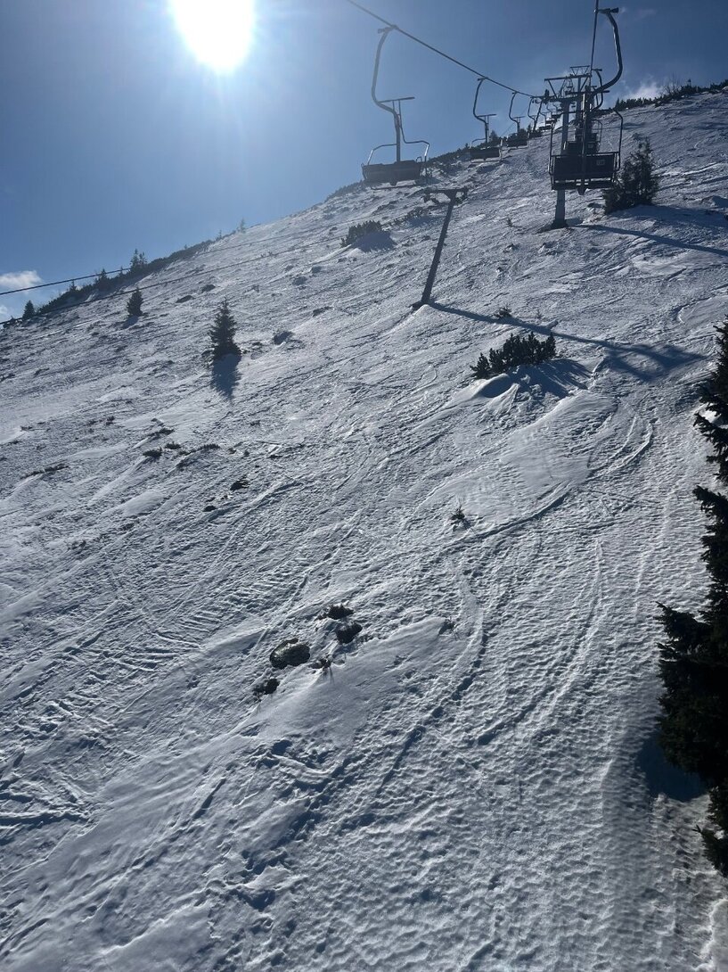 IMG_6659.jpeg
