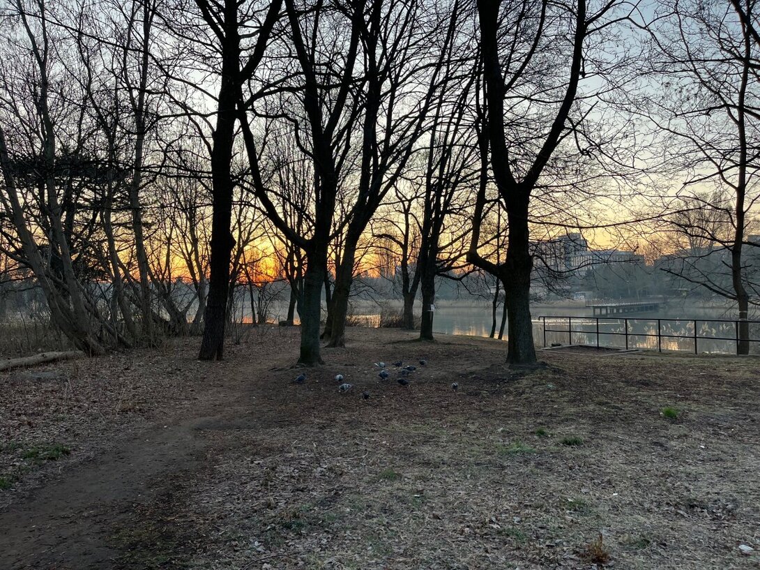 IMG_8082.jpeg