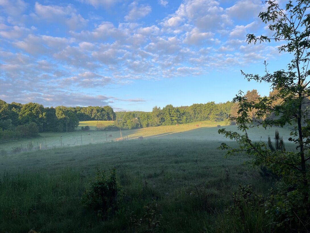 IMG_0187.jpeg