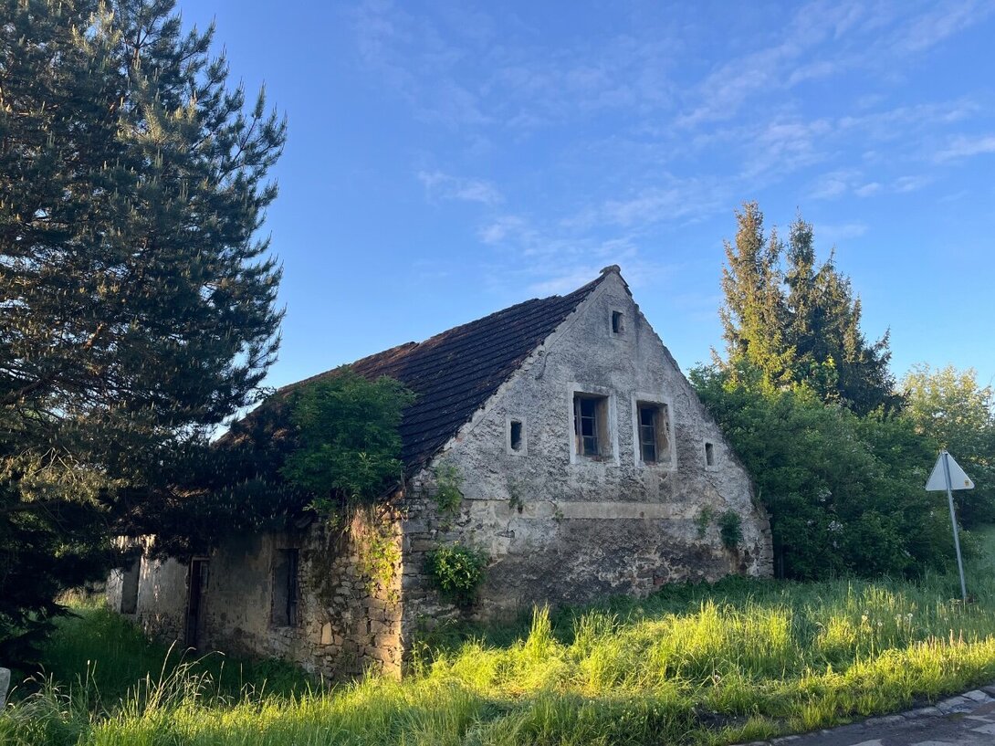 IMG_0201.jpeg