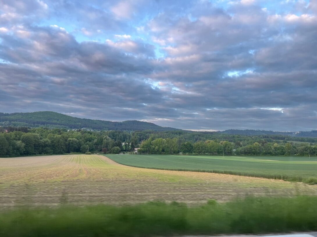 IMG_0264.jpeg