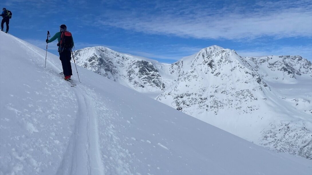 IMG_1752.thumb.jpeg.7c653b0eeeebfd33ea80f01d4980b6dc.jpeg