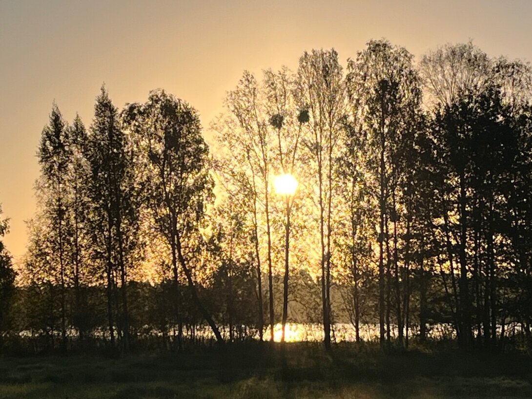 IMG_4806.jpeg
