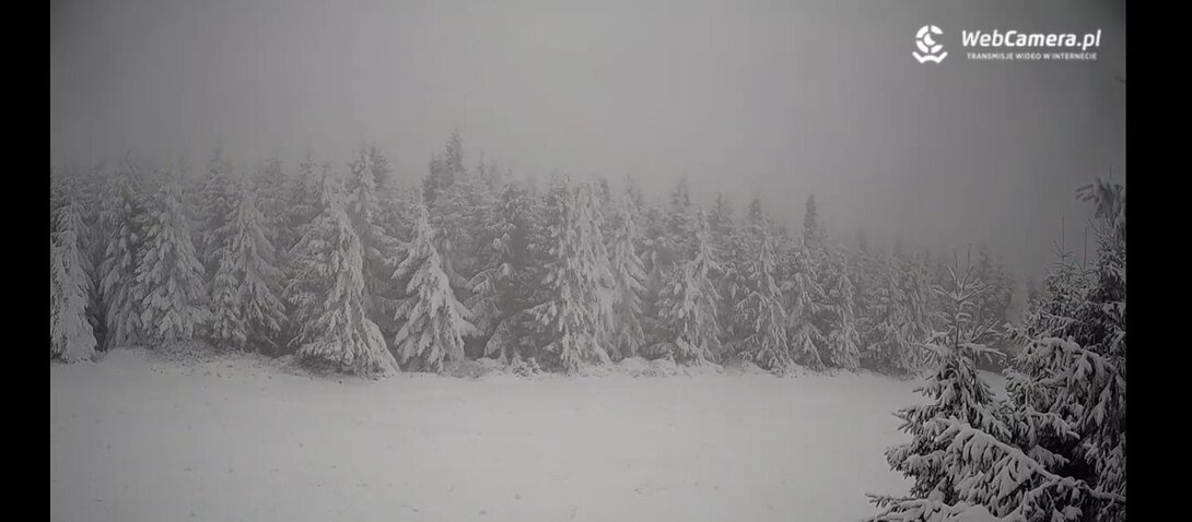 Screenshot_2025-11-26-11-09-21-881_com.android.chrome.jpg