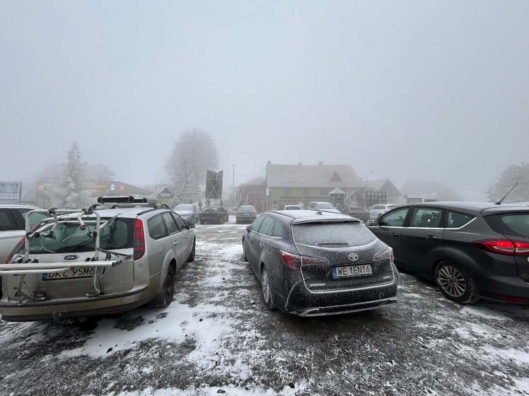 IMG_7283.jpeg