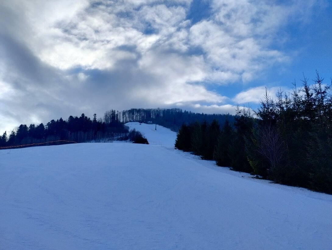 IMG_20260116_132614296_HDR.thumb.jpg.74917b150162574ed0f79ab6db66d6b0.jpg