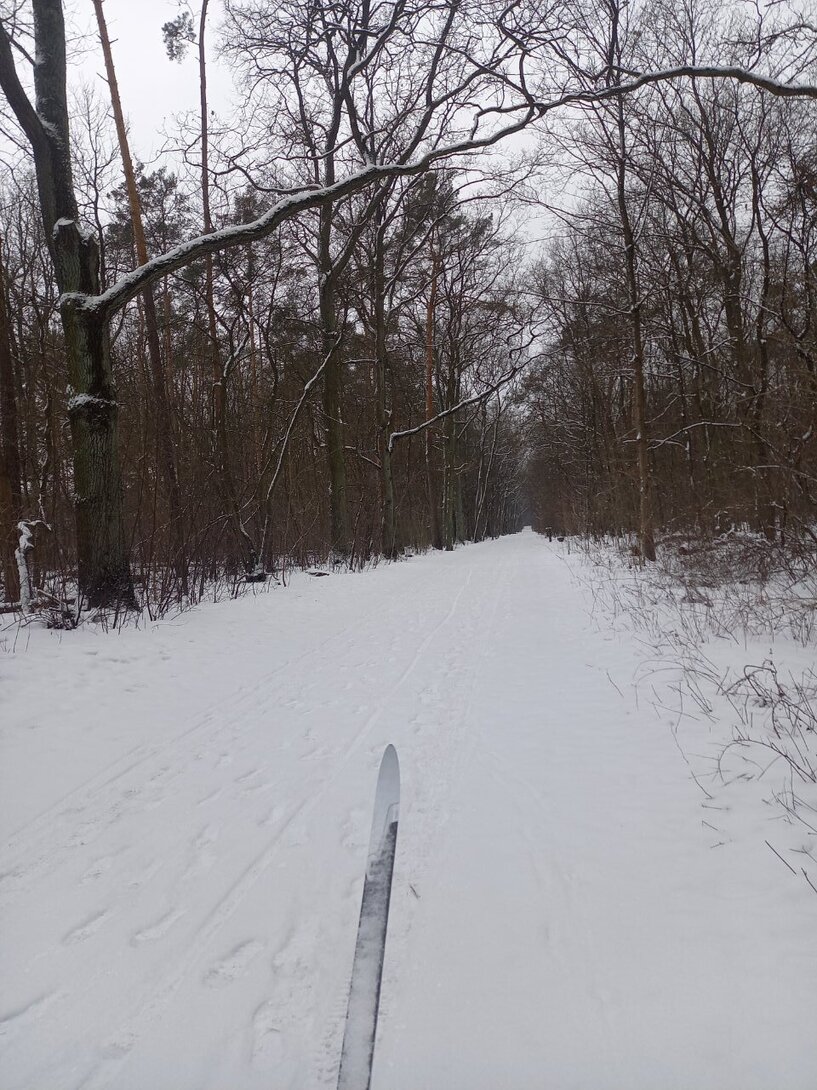 20260217_093916.jpg