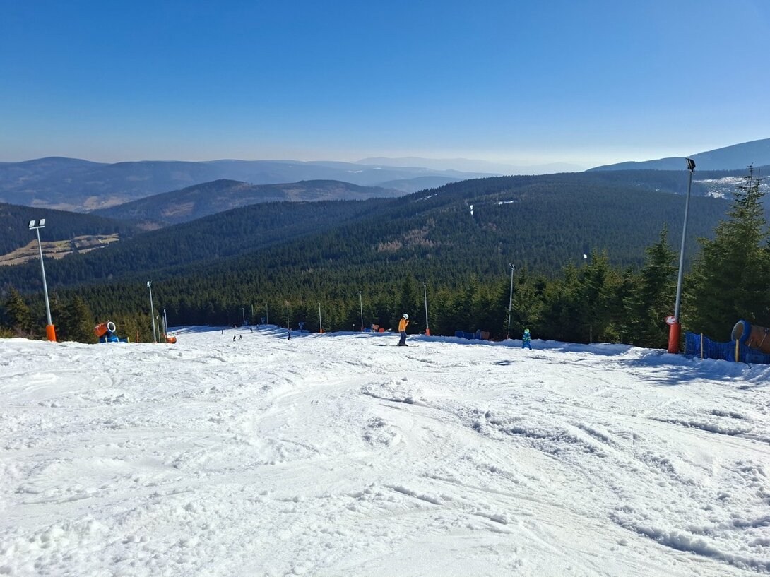 20260228_110456.jpg