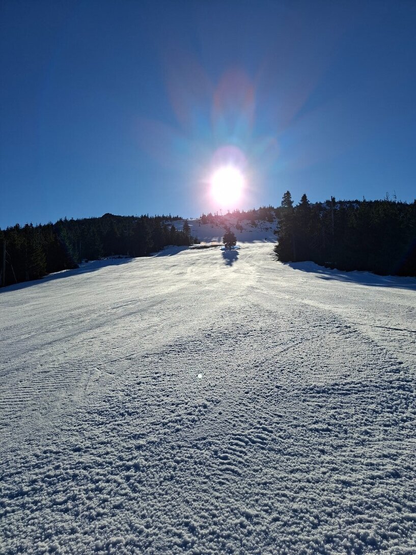 20260303_084358.thumb.jpg.d4a671b172ba516831d8852220792059.jpg