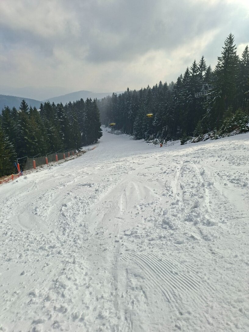 20260318_094028.thumb.jpg.ca570816b6ddaef93f437e7f6c8c76fc.jpg