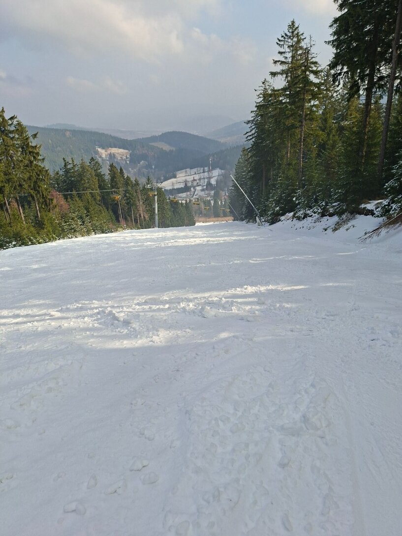 20260318_094351.thumb.jpg.d3583a750dae6e1beb751210c133aa06.jpg