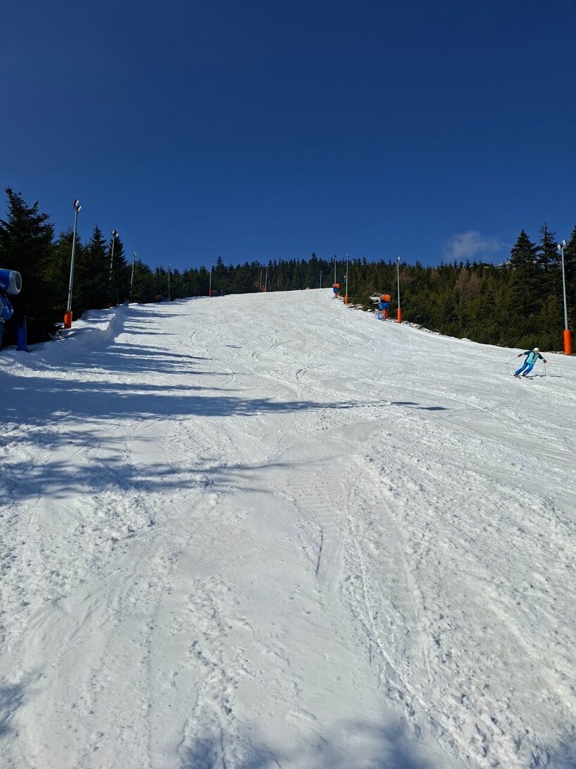20260318_105434.thumb.jpg.d46df48460d3cf7049e4f36915bedc80.jpg