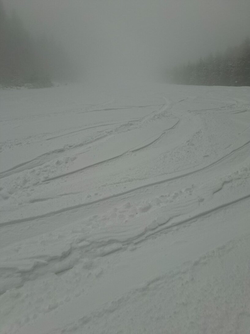 20260329_095219.thumb.jpg.6b87e8f5fc61b259993b4c602f5ca6e8.jpg