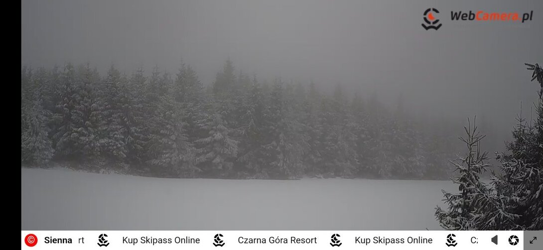 Screenshot_20260317_134748_Chrome.jpg