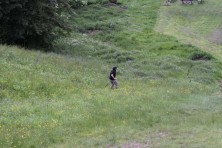 Grasski w Brennej