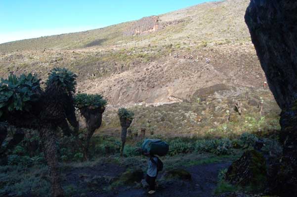 Galeria: Wyprawa na Kilimandżaro