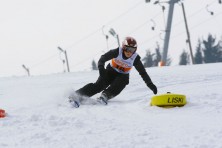 Allegro.pl FIS Carving CUP - eliminacje