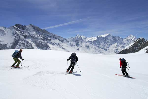 Galeria: Freeride i Ski touring by Diamir