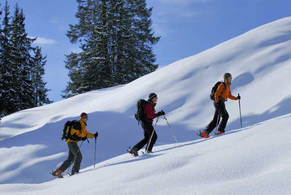 Galeria: Freeride i Ski touring by Diamir